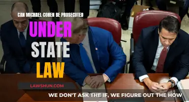 Cohen's Future: State Law Prosecution?