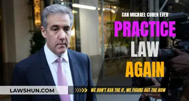 Michael Cohen: Can He Ever Practice Law Again?