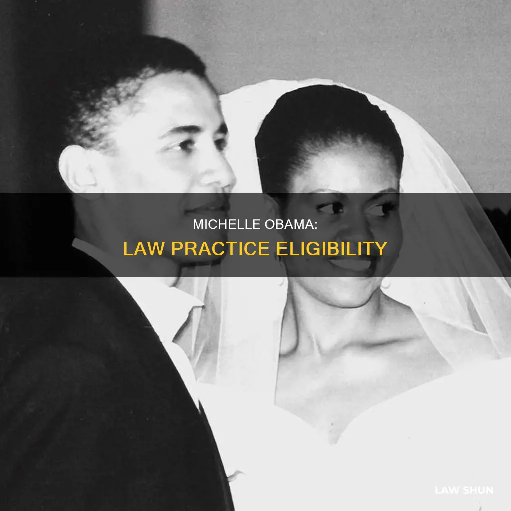 can michell obama practic law