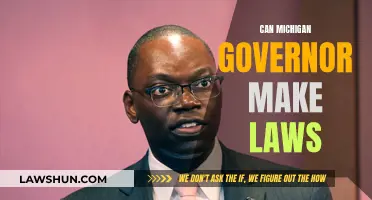 Michigan Governor: Lawmaking Powers Explained