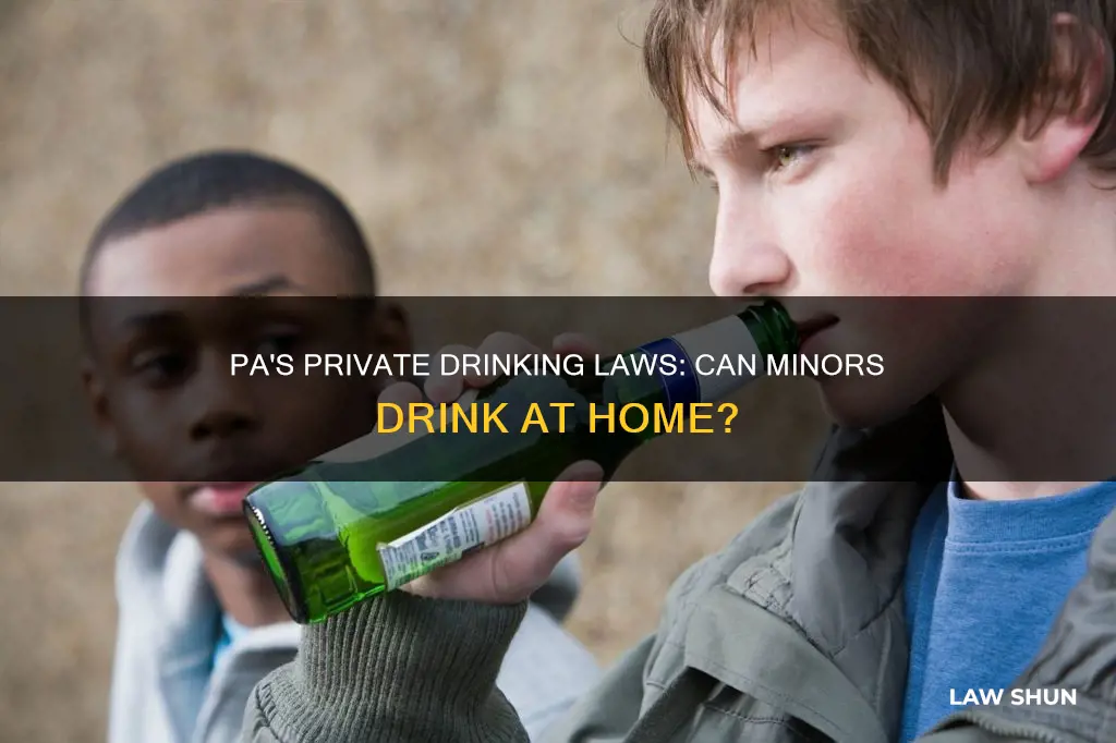 can mijnors drink in private homes law pa