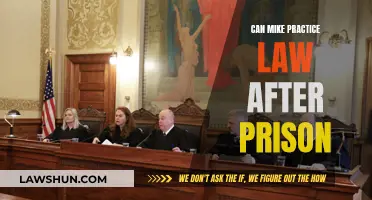 Can a Convicted Felon Practice Law? Mike's Story