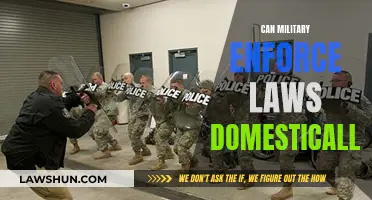 Military Law Enforcement: Domestic Deployment and Legal Boundaries