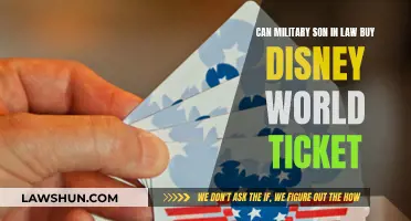 Disney World Tickets: Military Son-in-Law's Guide