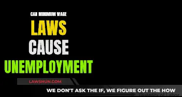 Minimum Wage Laws: A Trade-off Between Wages and Jobs?