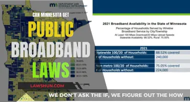 Broadband for Minnesota: Can Public Laws Help?