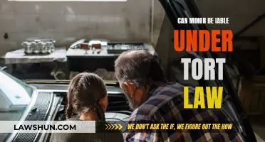 Minors and Tort Law: Who's Liable?