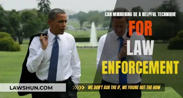 Mirroring Technique: A Powerful Tool for Law Enforcement?
