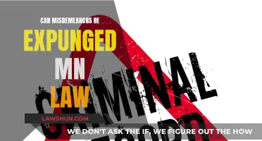 Misdemeanor Expungement: What Does MN Law Say?