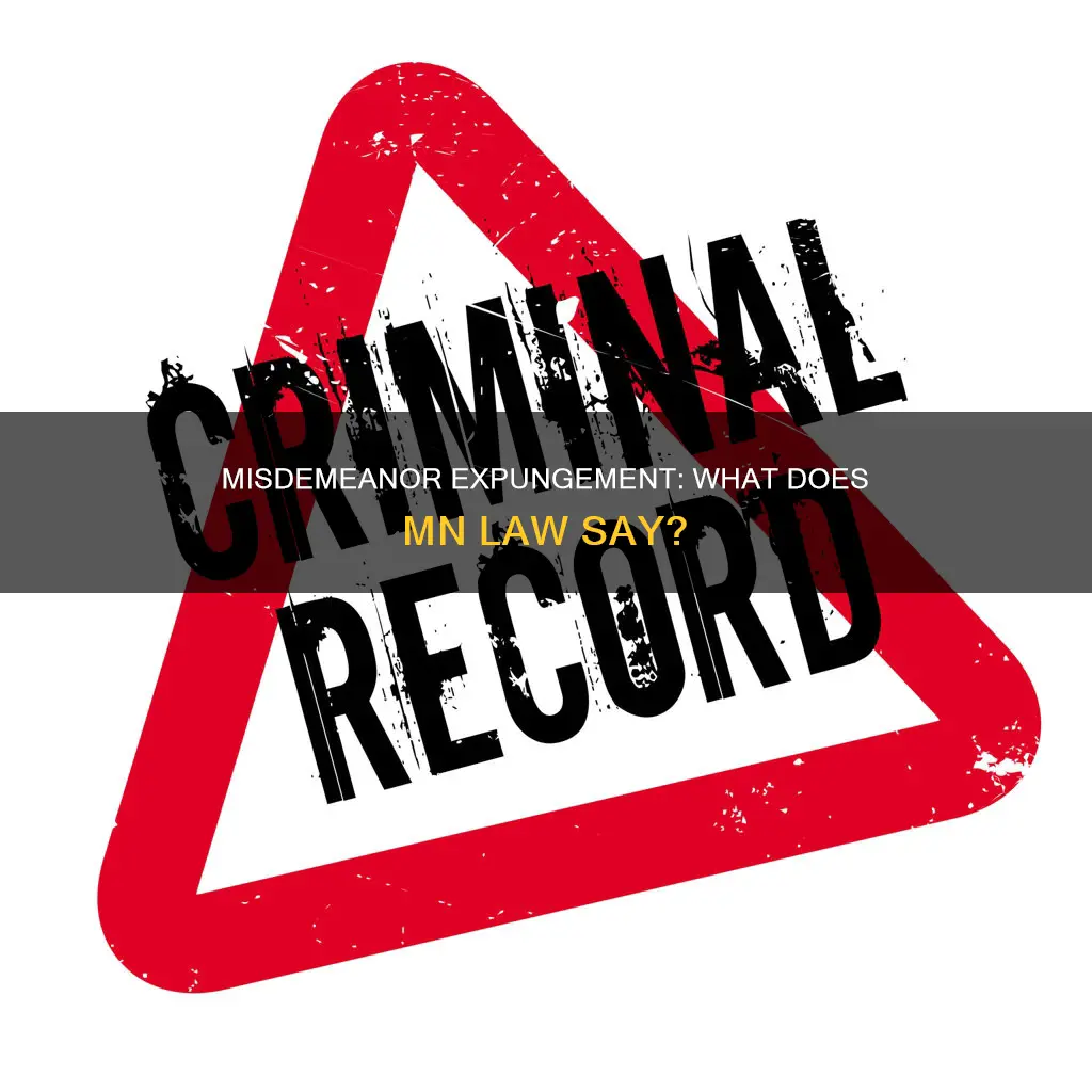 can misdemeanors be expunged mn law