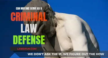 Mistake of Fact: A Criminal Defense Strategy?