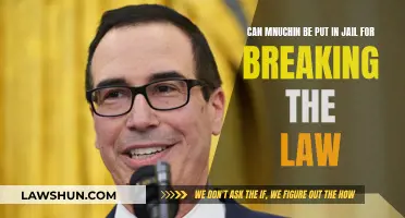 Mnuchin's Legal Troubles: Jail Time for Lawbreaking?