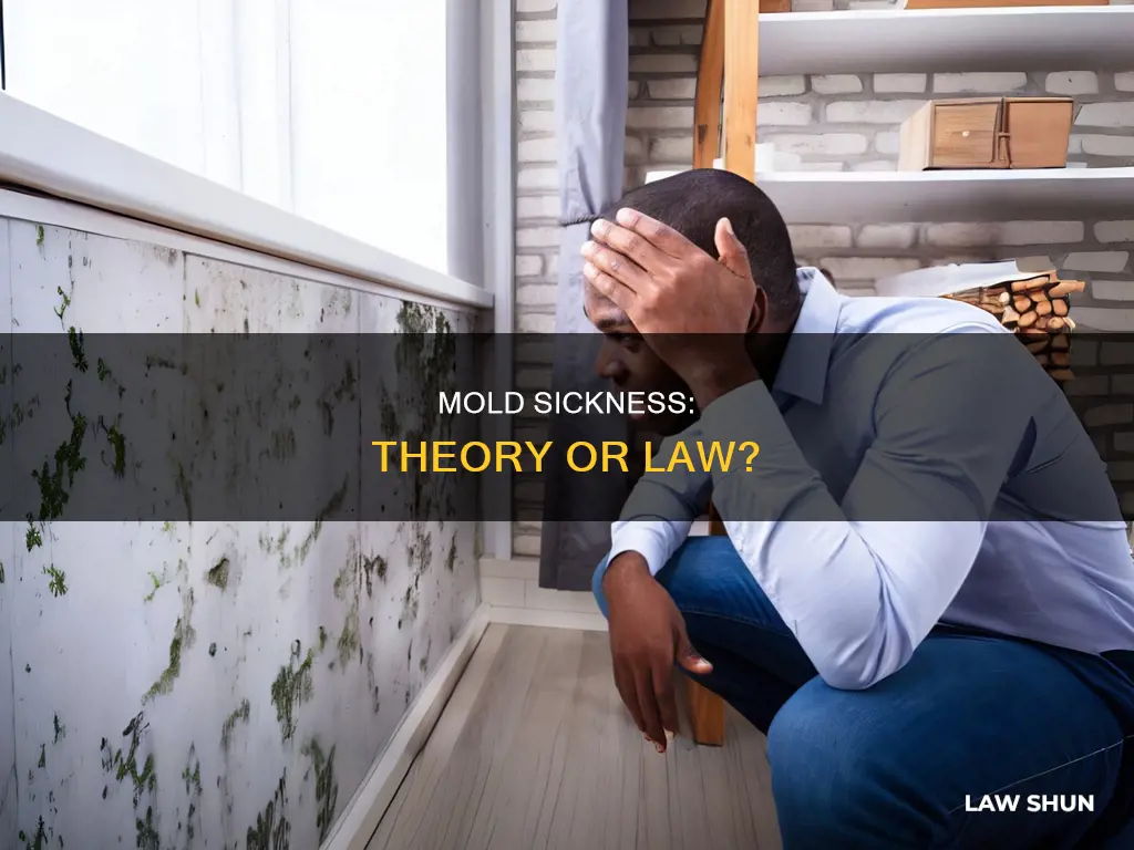can mold make someone sick theory or law