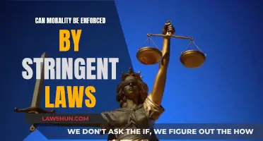 Morality and Laws: Can They Coexist?
