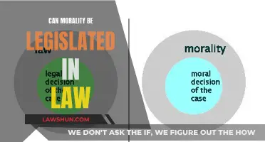 Morality in Law: Can It Be Legislated?