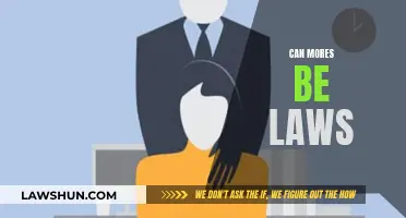 Mores to Laws: The Evolution of Social Norms