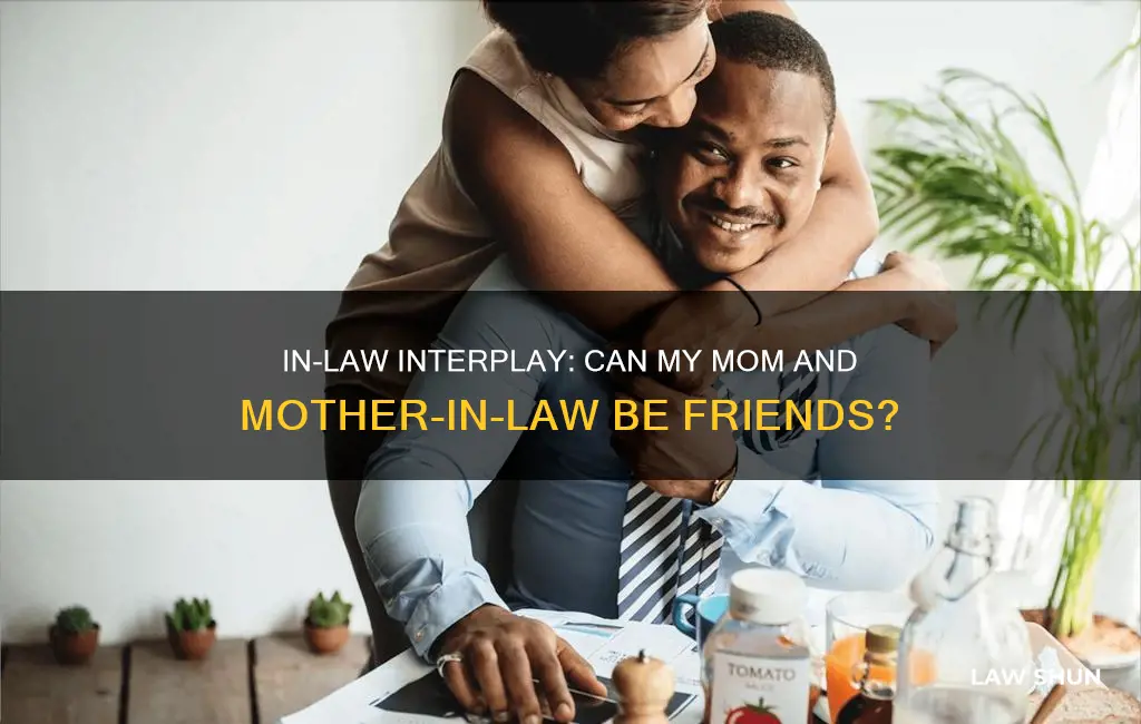 can mother in law be friend with mymother