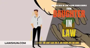 Mother-in-Law Maintenance Claims: Daughter-in-Law's Responsibility?