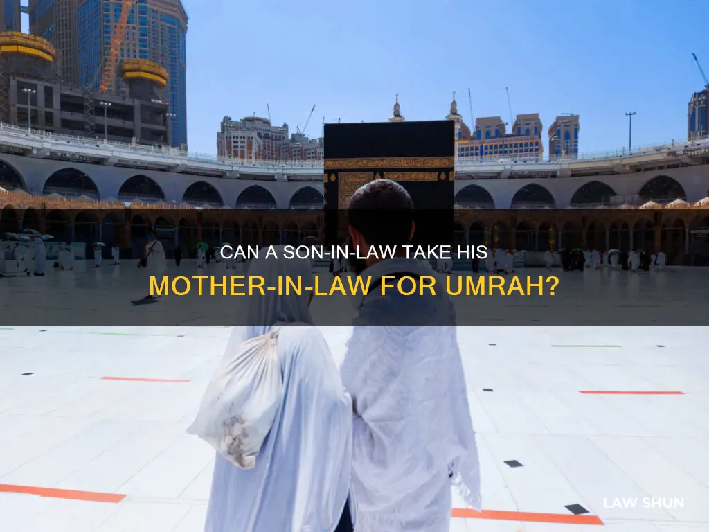 can mother in law do umrah with son in law
