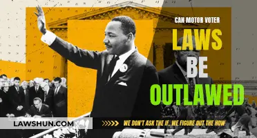 Motor Voter Laws: Outlawed or Not?