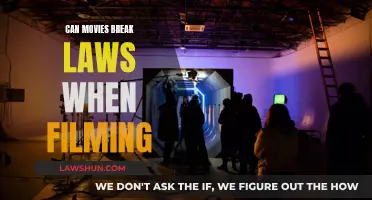 Laws and Filmmaking: Can Movies Break Rules?