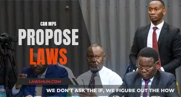Who Proposes UK Laws: MPs or the Government?
