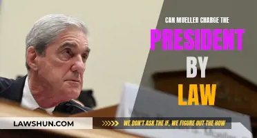 Mueller's Power: Can He Charge the President?
