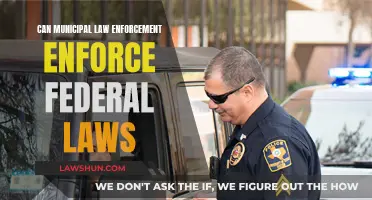Municipal Law Enforcement: Federal Law Jurisdiction?