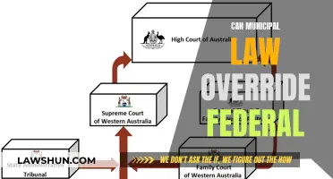 Municipal Law vs Federal: Who Wins?