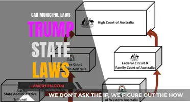 Municipal Laws: Overriding State Laws?