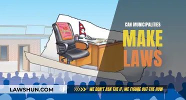 Municipalities: Law-Making Powers?