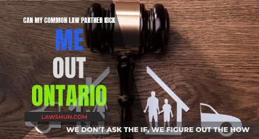 Common-Law Breakups: Who Gets the Ontario Home?