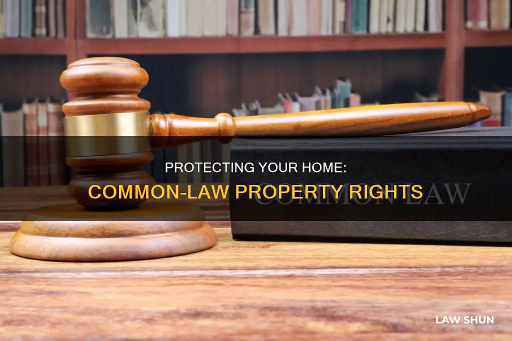 can my common law partner take my house