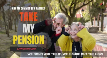 Pension Rights: Common-Law Partners and Entitlements