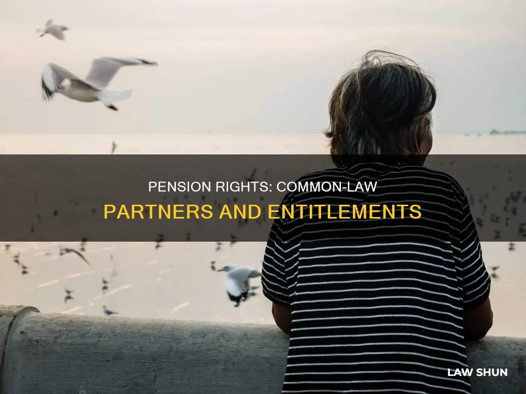 can my common law partner take my pension