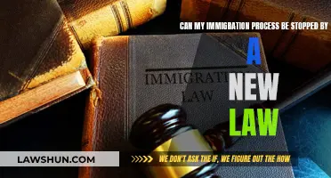 Immigration Laws: Can My Process Be Halted?