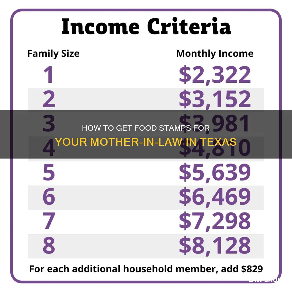can my mother in law get food stamps in texas