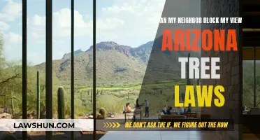 Understanding Arizona Tree Laws: Your View, Your Rights