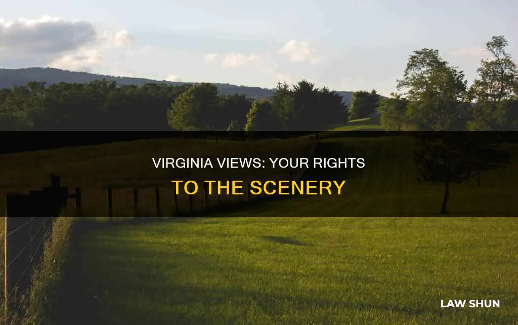 can my neighbor block my view virginia law