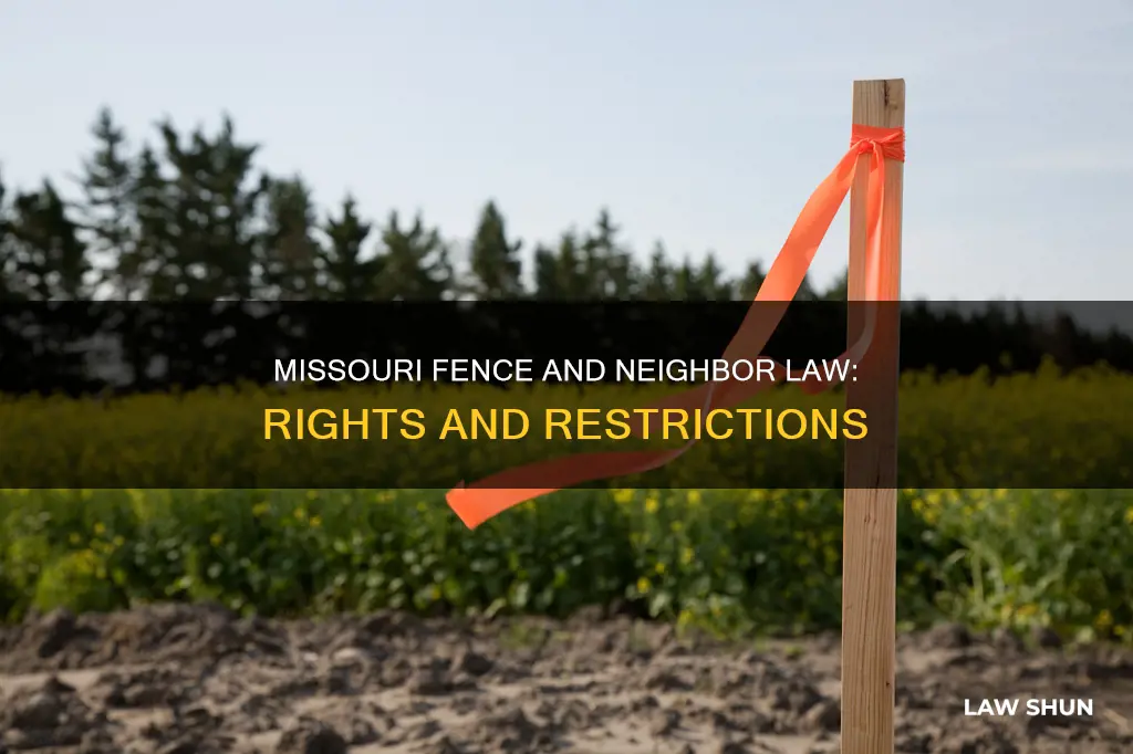can my neighbor take down my fence missouri law
