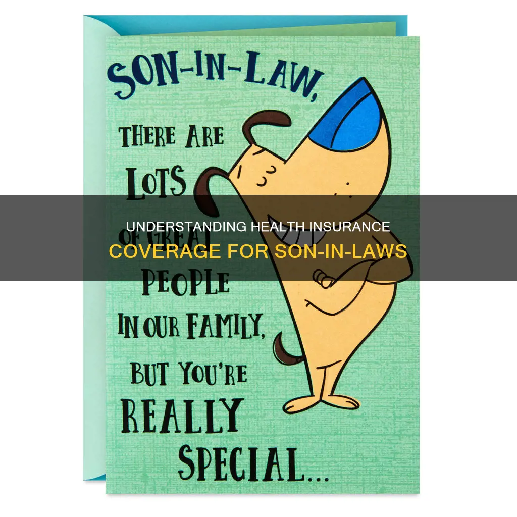 can my son in law be on my health insurance