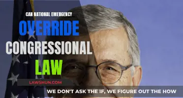 Emergency Powers: Can the President Override Congress?
