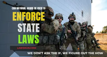 The National Guard: Enforcing State Laws?