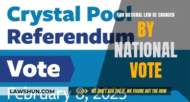 National Votes: Changing National Laws?