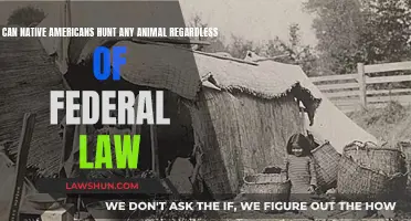 Native Americans' Hunting Rights: Exempt from Federal Laws?