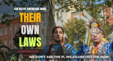 Native Americans' Right to Self-Govern: Can They Make Laws?