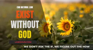 Natural Law: Godless or God-Given?