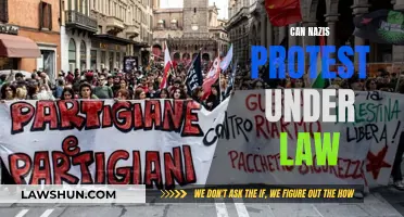 Nazi Protests: What Does the Law Say?