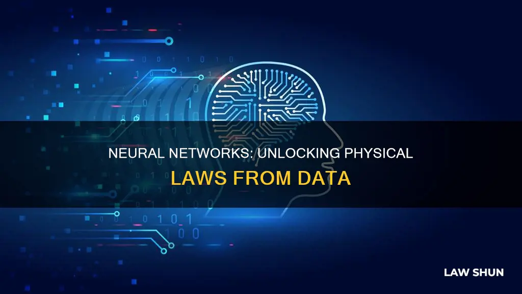 can neural nwtrwork discover physical law with data