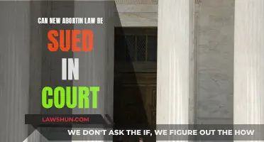 New Abortion Laws: Can They Be Challenged in Court?